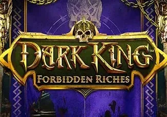 Dark King_ Forbidden Riches